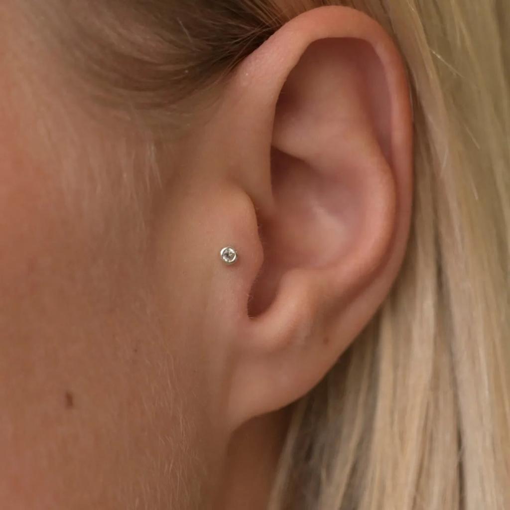 Tragus
